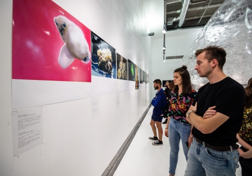 Zdjęcie, kilkoro uczestników wernisażu ogląda jedną z prac Zbigniewa Oksiuty – zdjęcia prezentowane na ścianie Sali Wystawienniczej.