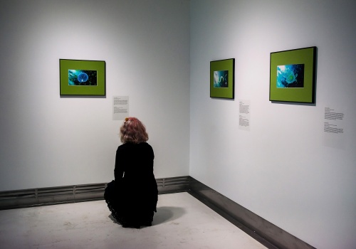 3.	Kobieta przyglądająca się jednej z trzech prac wywieszonych na jasnych ścianach sali wystawienniczej. 