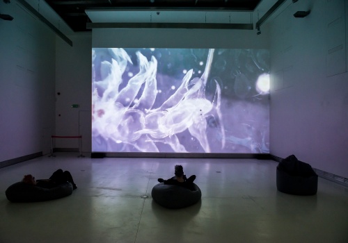 5.	Nieoświetlona sala wystawiennicza. Na jednej ze ścian wyświetlana jest wielkoformatowa praca audiowizualna, przedstawiająca plankton w powiększeniu. Przed ścianą siedzą dwie osoby oglądające projekcję audiowizualną.