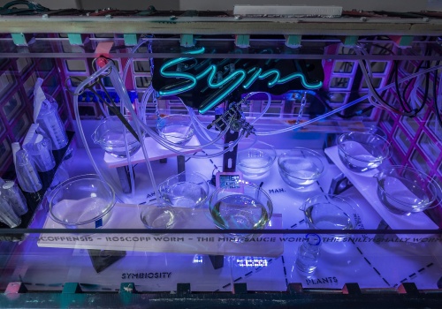 Zdjęcie. Kadr na instalację artystyczną autorstwa Elvina Flamingo, w postaci obiektu przypominającego sprzęt laboratoryjny wykorzystywany do hodowli mikroorganizmów. Liczne szklane naczynia oraz podłączone do nich rurki. Cała aparatura jest oświetlona neonem imitującym światło ultrafioletowe.