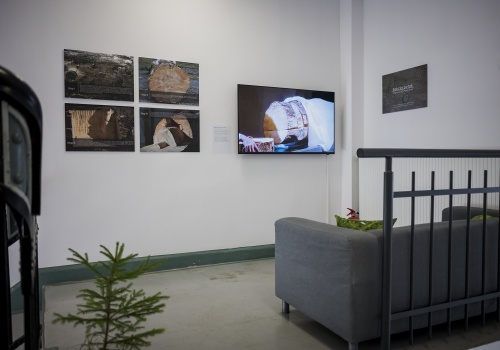 Przestrzeń wystawiennicza. Na białej ścianie wyeksponowano ekran, na którym wyświetlana jest praca audiowizualna. Obok ekranu zawieszono plansze z fotografiami ściętych drzew.