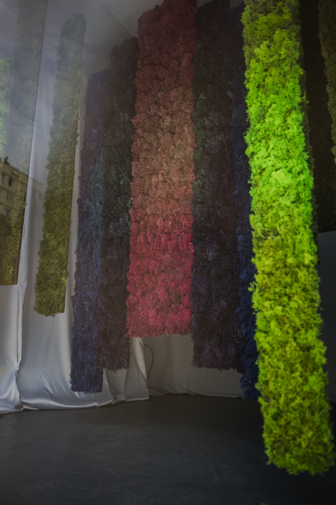 Zbliżenie na instalację artystyczną, autorstwa Klaudii Nachumeniuk, w postaci długich, wiszących pasów barwionego mchu.