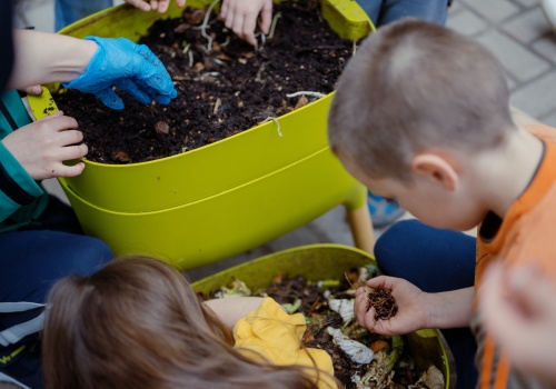 Zielone Dolne - warsztaty ogrodnicze dla dzieci zdjęcie