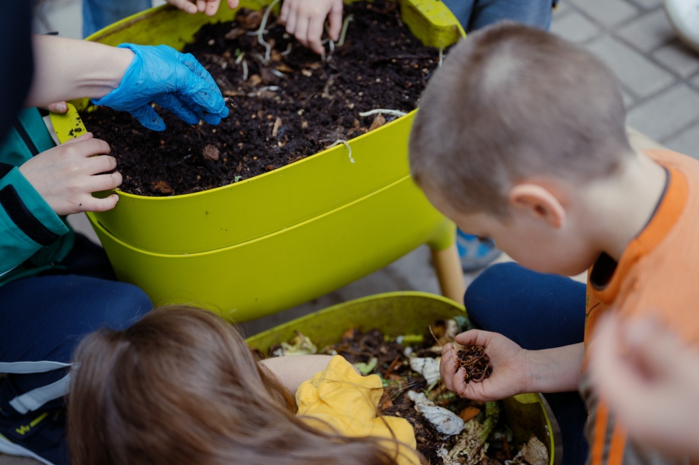 Zielone Dolne - warsztaty ogrodnicze dla dzieci zdjęcie
