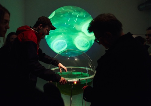 Zdjęcie. Publiczność zgromadzona wokół instalacji artystycznej. Mężczyzna w czapce przez odpowiednią interakcję z instalacją artystyczną uruchamia projekcję z roślinami wodnymi.