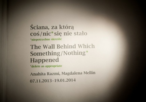 2013 - Ściana, za która coć/*nic się nie stało zdjęcie